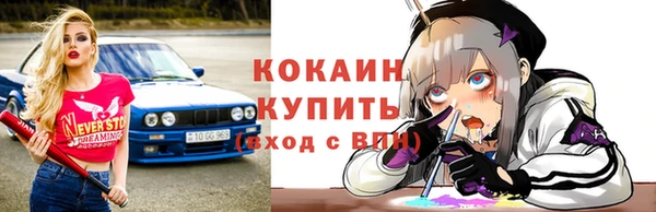 дмт Богородицк