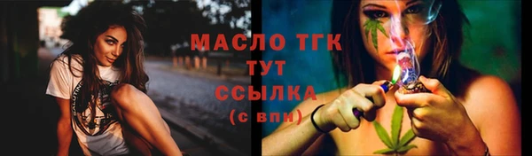 дмт Богородицк
