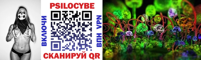 купить   Шагонар  Псилоцибиновые грибы MAGIC MUSHROOMS 